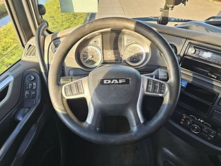 DAF N/A 2017 - XF 450 obrazek 11