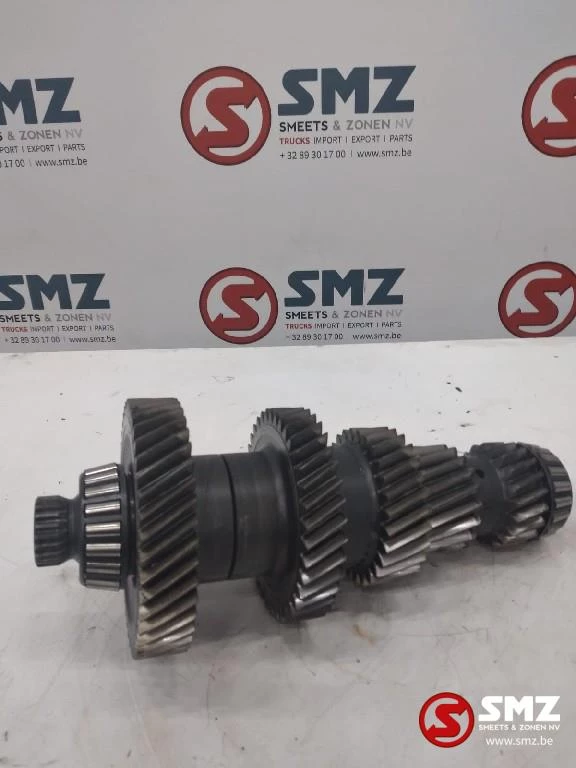 ZF - Occ primaire as ZF immagine 2
