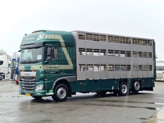 DAF XF 440 2015 - SuperSpaceCab 6x2*4 - Cuppers 1-2-3 deck Livestock изображение 14