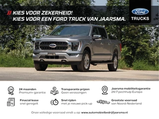 Ford F-150 2022 - Platinum CrewCab 3.5L EcoBoost obrazek 10