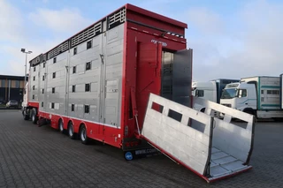 Pezzaioli N/A 2016 - SBA 31 - Cattle Transporter 93.13m2 obrazek 10