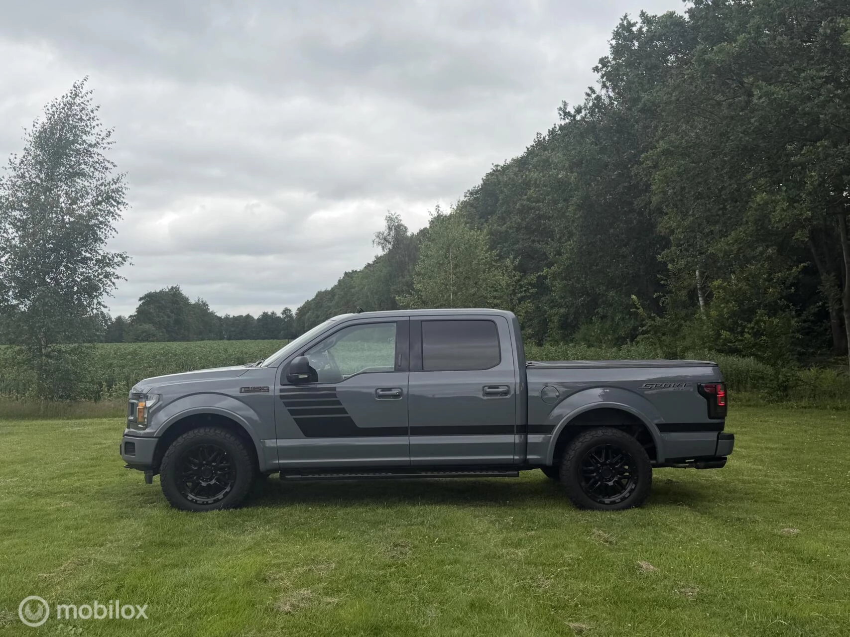 Ford F-150 2020 - USA 5.0 V8 XLT afbeelding 4
