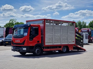 Iveco Eurocargo 2018 - 75.190 - Finkl Livestock 1 deck - 9.07 M 2 - Air suspension - Euro 6 obrazek 4