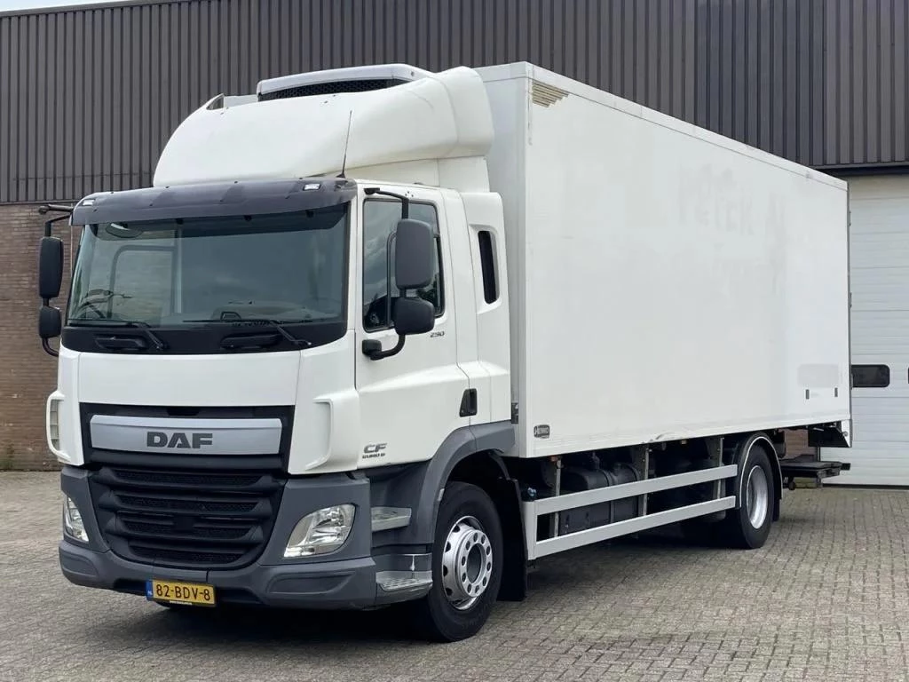 DAF CF 290 2014 obrázek 1