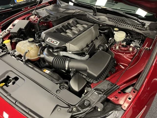 Ford Mustang 2014 - Fastback 5.0i V8 50 Years Edition 441PK Automaat image 104