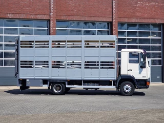 MAN TGL 1998 - 8.240 - 2 deck livestock Bekkers - Loadlift - Manual gearbox - Full steel obrazek 12