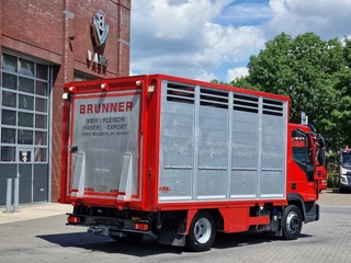 Iveco Eurocargo 2018 - 75.190 - Finkl Livestock 1 deck - 9.07 M 2 - Air suspension - Euro 6 obrazek 19