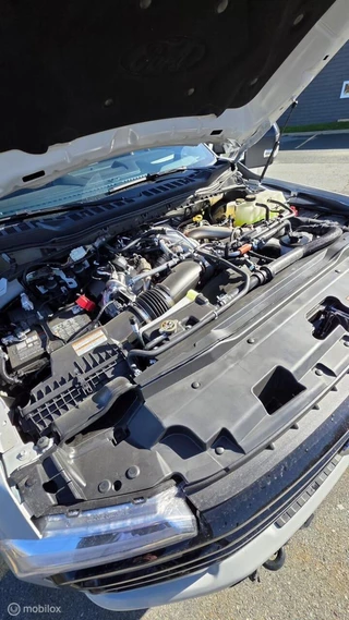Ford F-250 2026 - USA 6.7 V8 Platinum Tremor image 37