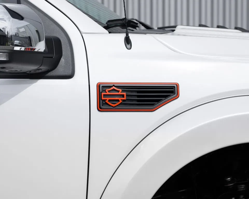Ford F-150 2019 - (USA) Harley Davidson V8 5.0L Tuscany Motor Co. afbeelding 20