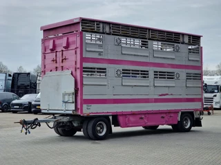Pezzaioli N/A 2005 - 2 deck livestock - Lifting floor - Lifting roof - Ventilation - BPW Axle zdjecie 2