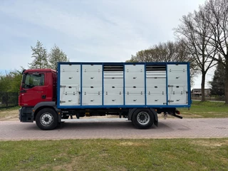 MAN TGM 2013 - 18.340 4X2 C RIJBEWIJS Veewagen imagen 3