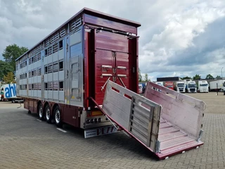 Pezzaioli N/A 2025 - New - 3 deck livestock 100M2 - Water & Ventilation - Lifting floors - Lifting roof - NEW 2025 obrazek 5
