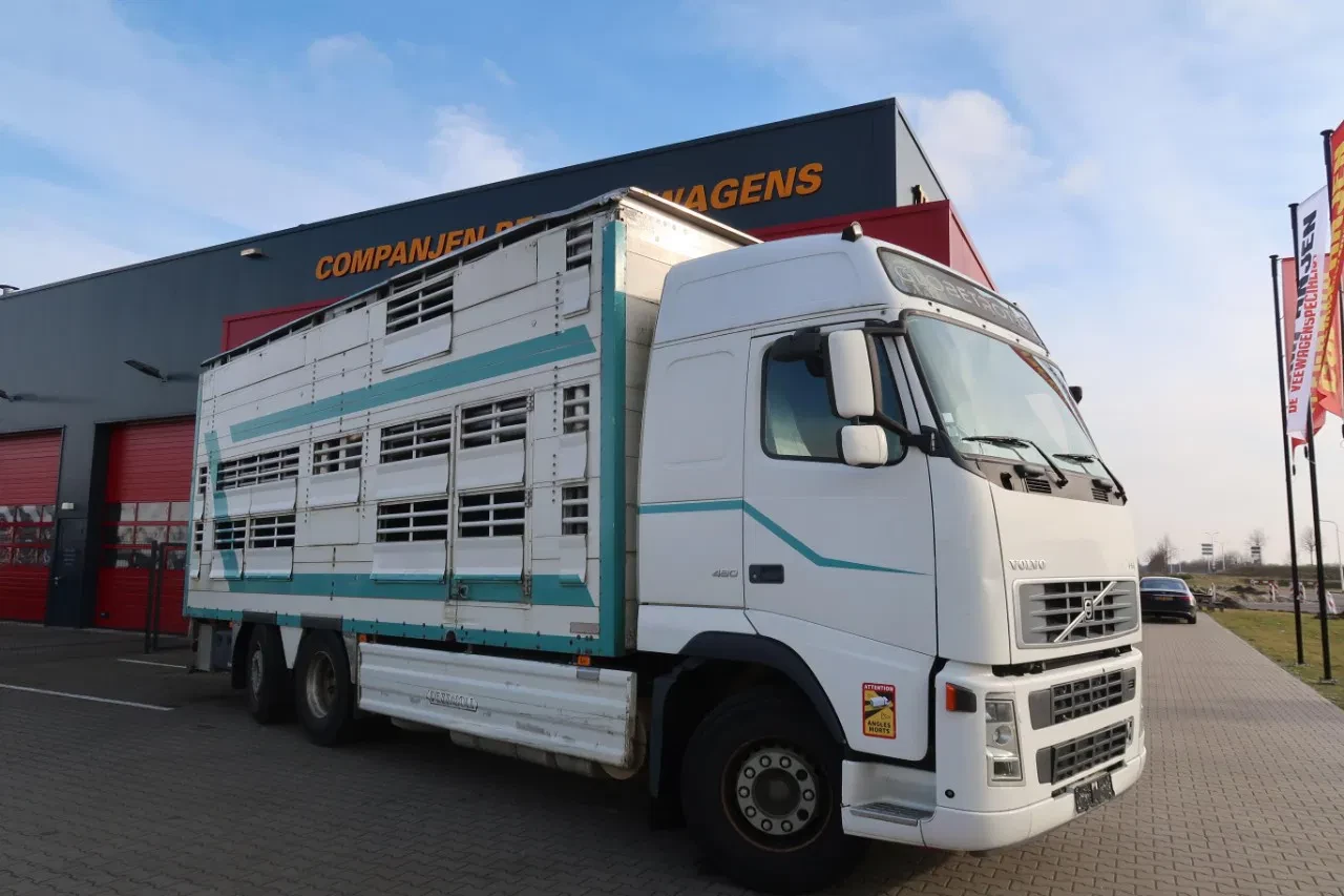 Volvo FH 2006 - 480 FH 480 Cattle transport изображение 31