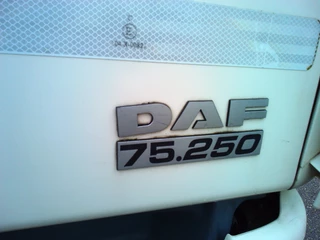 DAF CF 250 2013 - NL TRUCK APK 12-2026 immagine 4