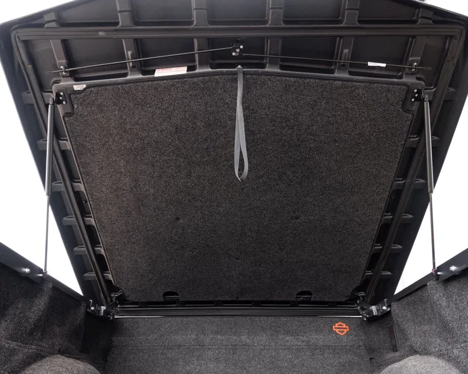 Ford F-150 2019 - (USA) Harley Davidson V8 5.0L Tuscany Motor Co. afbeelding 83