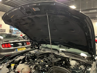 Ford Mustang 2019 - Fastback 5.0i V8 BULLITT 460PK Brembo MagneRide B&O Sound zdjecie 105