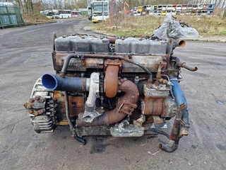 DAF WS 315 M afbeelding 2 miniatuur