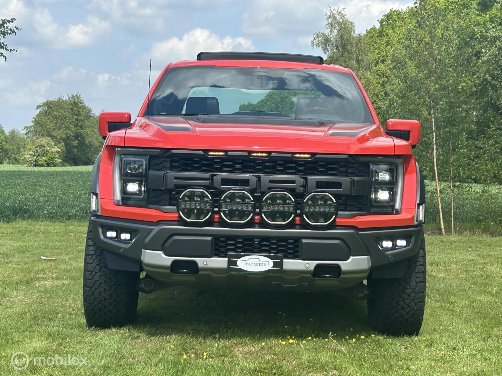 Ford F-150 2024 - USA Raptor image 3