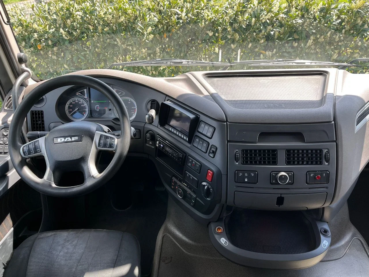 DAF XF 450 2019 - FAN immagine 22