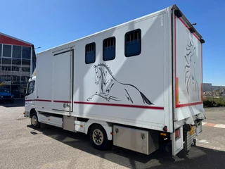 Mercedes-Benz 970-01 2001 - 4X2 15OPK PAARDENWAGEN immagine 6