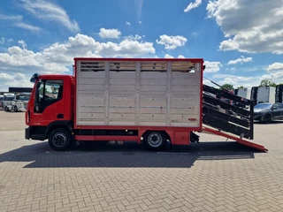 Iveco Eurocargo 2018 - 75.190 - Finkl Livestock 1 deck - 9.07 M 2 - Air suspension - Euro 6 obrazek 5