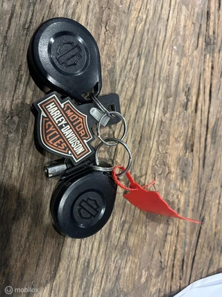 Harley-Davidson N/A 2011 - 103 FLD Switchback zdjecie 15