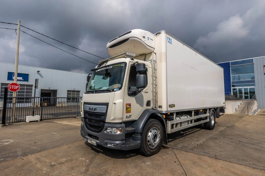 DAF 2014 - LF55 250+CHEREAU+THERMO KING+DHOLLANDIA 1.5T afbeelding 1