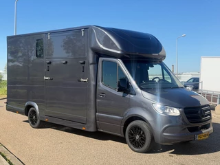 Mercedes-Benz Sprinter 2020 - 314CDI Paardenwagen Horsetruck TVW Hengsten Uitvoering L3 Automaat Airco obrazek 4
