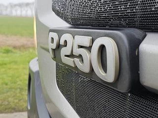 Scania P 2016 - P250 image 21