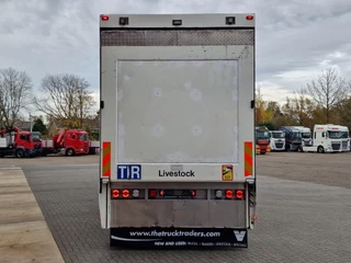 DAF XF 2017 - 440 SuperSpaceCab 6x2*4 - 2 deck Closed Livestock - 40M2 - Filtersystem immagine 7
