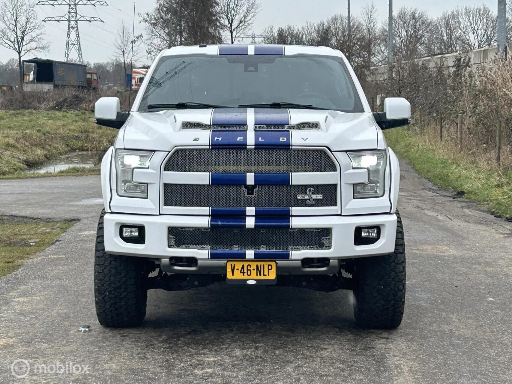 Ford F-150 2016 - USA Shelby zdjęcie 24