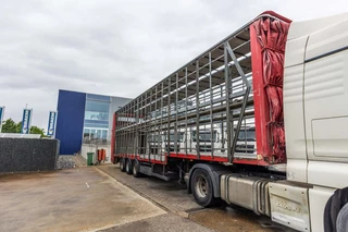 Lecitrailer N/A 2012 - CUELLO CISNE 3E-RD+DOUBLE ETAGE+DHOLLANDIA 2TON image 7
