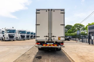 Renault N/A 2017 - D14 250 + DHOLLANDIA obrazek 4