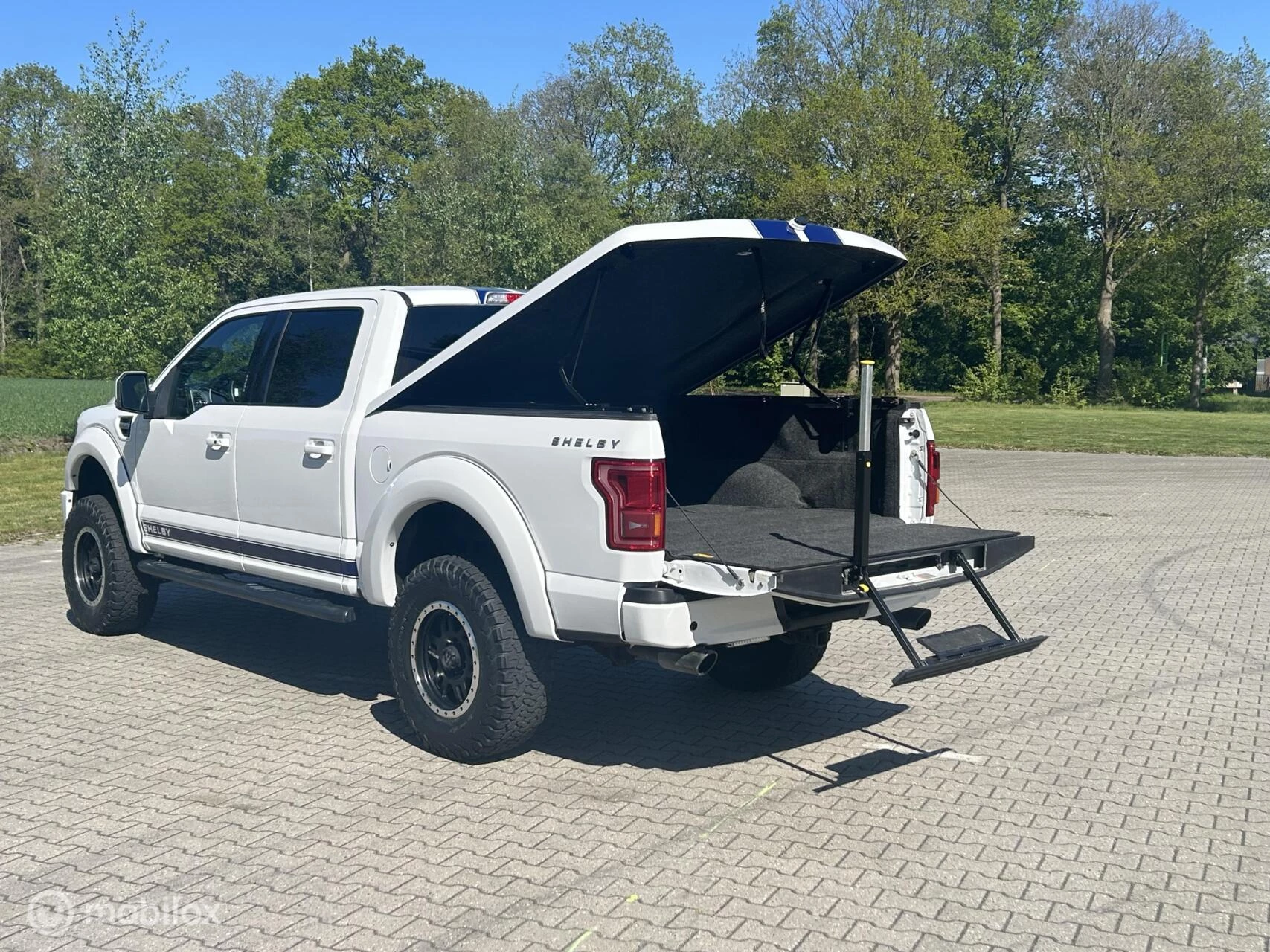 Ford F-150 2016 - USA Shelby zdjęcie 12