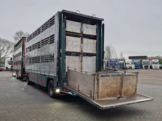 DAF XF 440 2015 - SuperSpaceCab 6x2*4 - Cuppers 1-2-3 deck Livestock + Cuppers 3 deck trailer 2009 obrazek 4