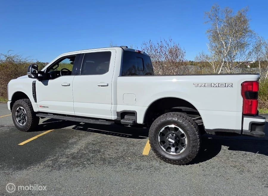 Ford F-250 2026 - USA 6.7 V8 Platinum Tremor obrázek 2