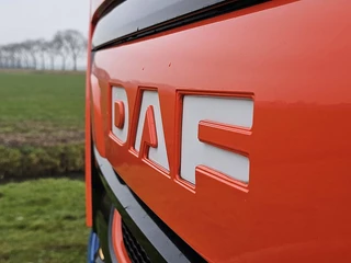 DAF N/A 2019 - LF 260 immagine 14