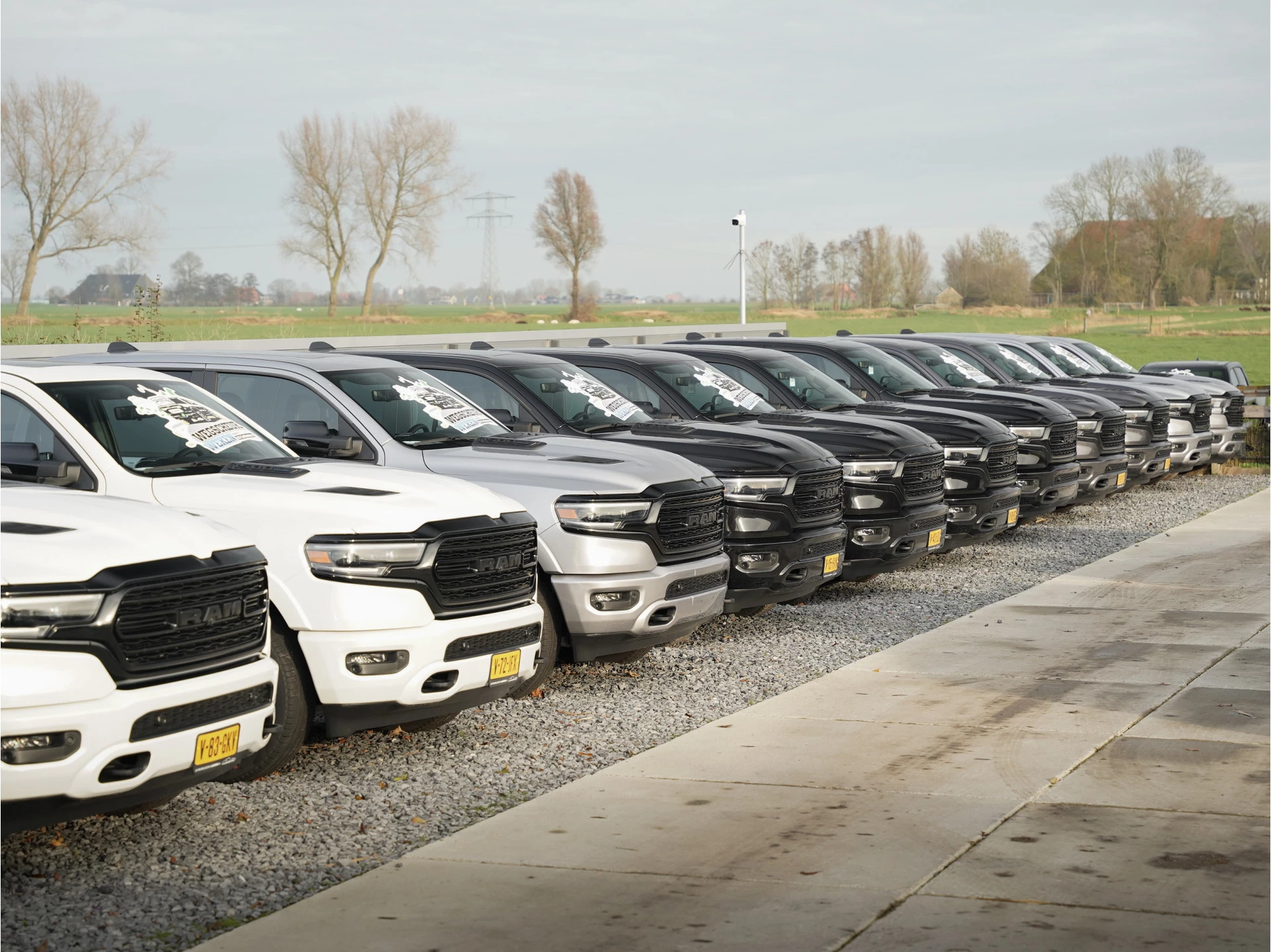 Ford F-150 2022 - Limited 430pk PowerBoost Full Hybrid SuperCrew afbeelding 13