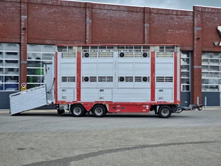 Pezzaioli N/A 2002 - 2 deck livestock - Ventilation - Lifting roof - Lift axle BPW obrazek 10