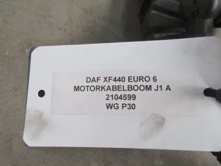 DAF - XF106 1953286 / 2104599 MOTORKABELBOOM J1 A EURO 6 obrázek 3 náhled