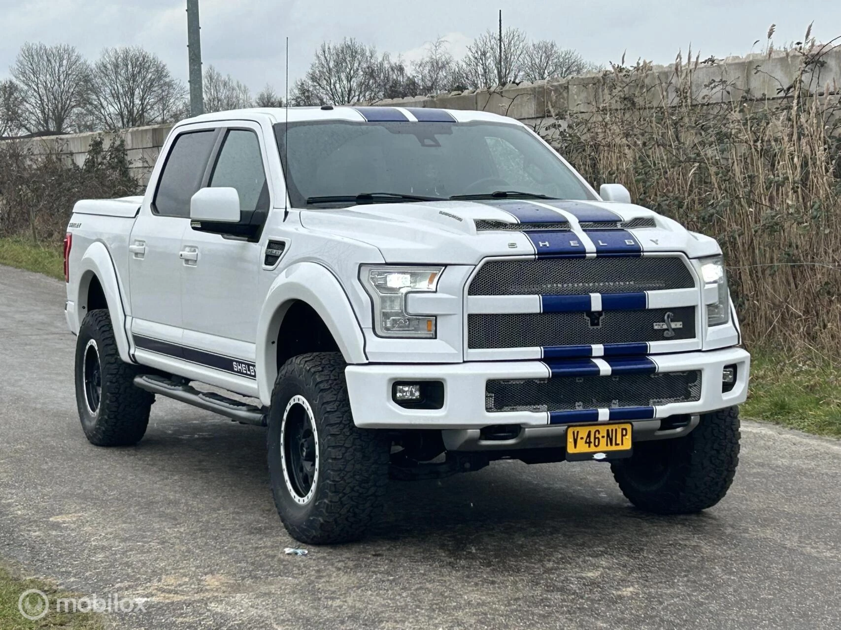 Ford F-150 2016 - USA Shelby zdjęcie 32