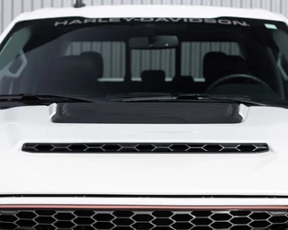 Ford F-150 2019 - (USA) Harley Davidson V8 5.0L Tuscany Motor Co. imagem 27