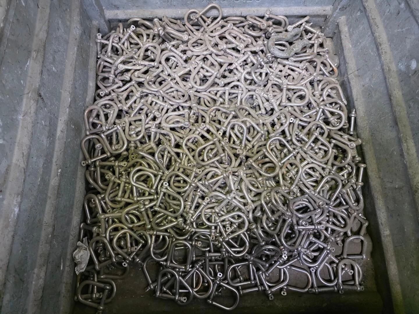 D-shackles Shackles immagine 3