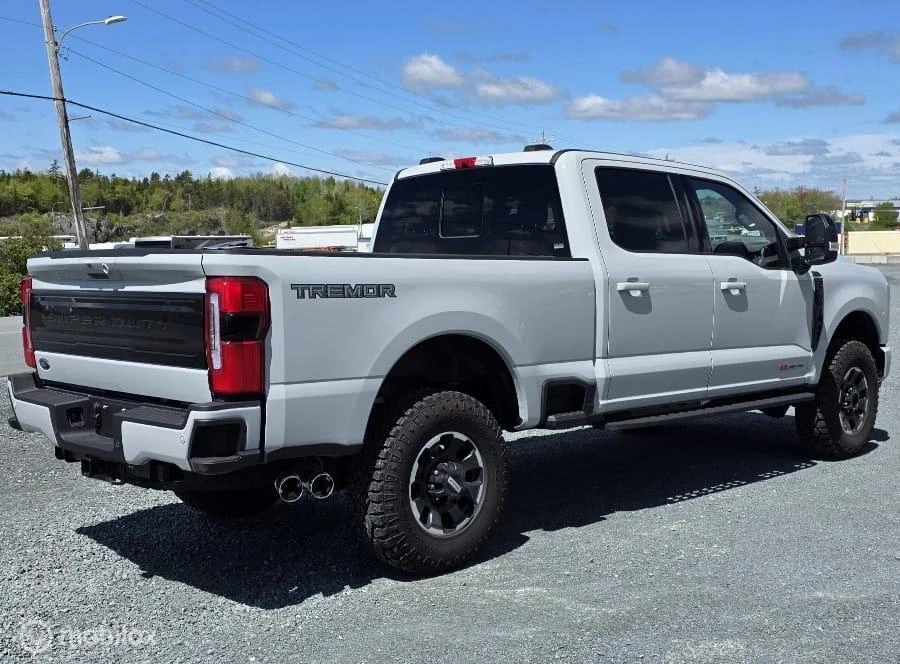 Ford F-250 2026 - USA 6.7 V8 Platinum Tremor obrázek 46