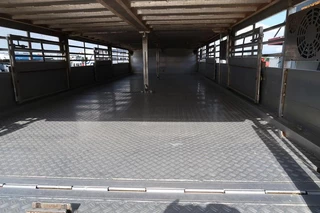 DAF XF 105 2012 - XF 105-460 - 2012 - 2-3 floors, Pigs transport zdjecie 24