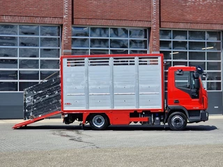 Iveco Eurocargo 2018 - 75.190 - Finkl Livestock 1 deck - 9.07 M 2 - Air suspension - Euro 6 obrazek 9