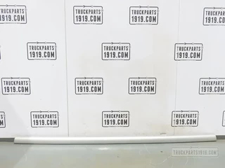 DAF N/A - 1400008 Sierlijst grill DAF XF95 immagine 1