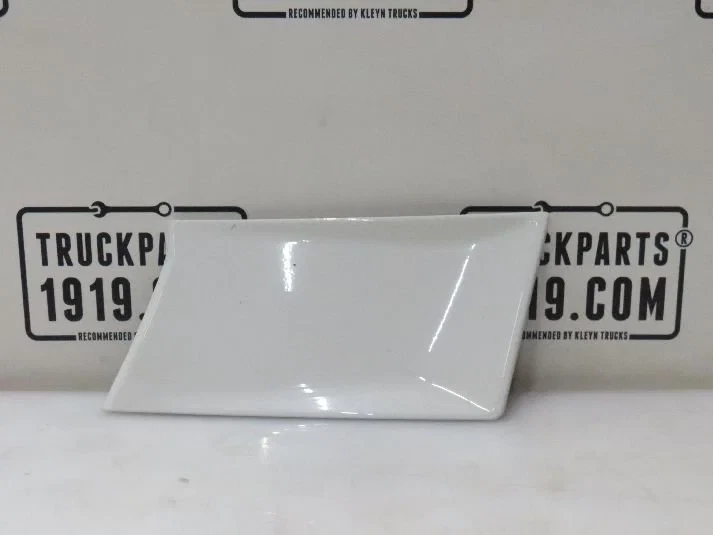 Scania - 2978844 Afdekkap grill Li. Scania image 1