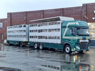 DAF XF 440 2015 - SuperSpaceCab 6x2*4 - Cuppers 1-2-3 deck Livestock + Cuppers 3 deck trailer 2009 te koop