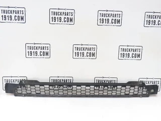 Scania N/A - 2307679 Grille rooster zdjecie 2